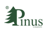 Pinus - strona główna