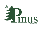 PINUS - strona główna